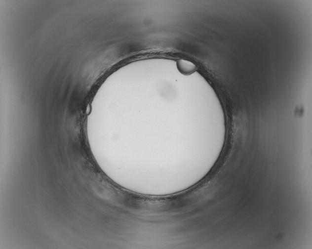 X0000112531257200909141238