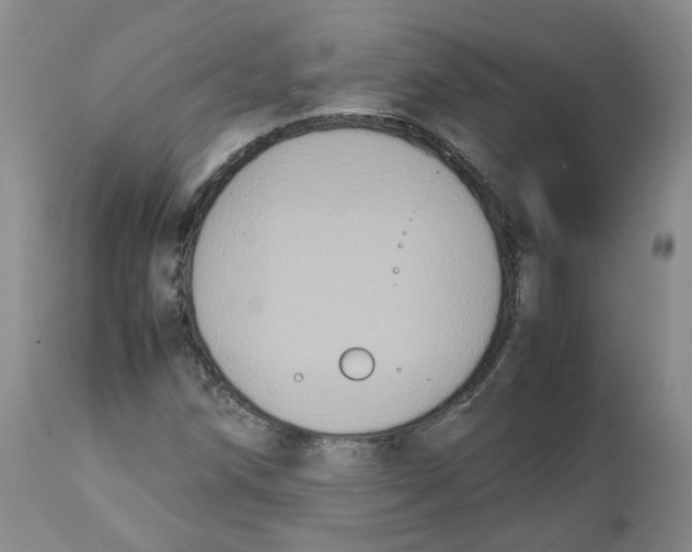 X0000112531258200909141238