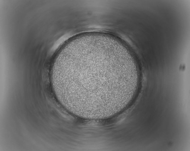 X0000112531259200909141238