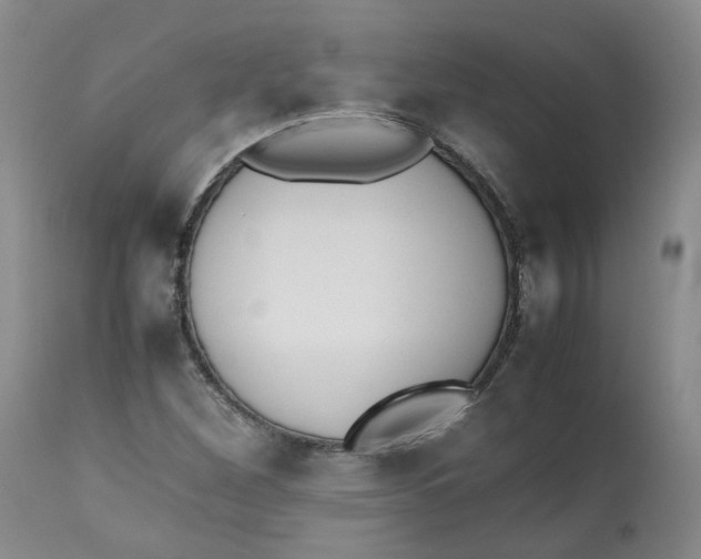 X0000112531260200909141238