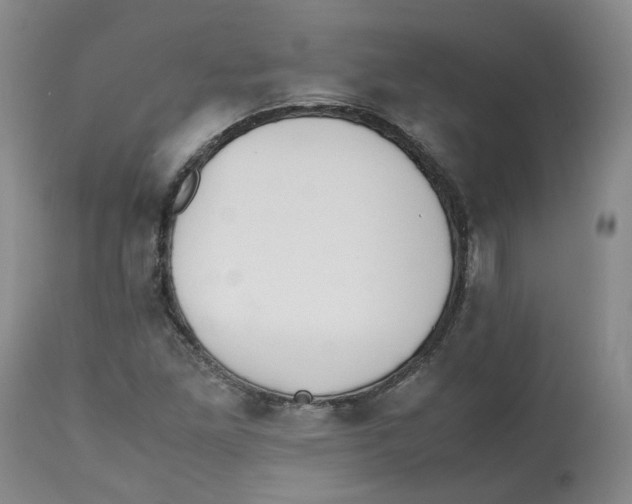 X0000112531261200909141238