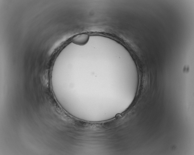 X0000112531262200909141238