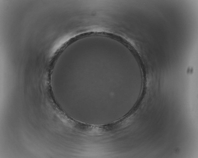 X0000112531263200909141238