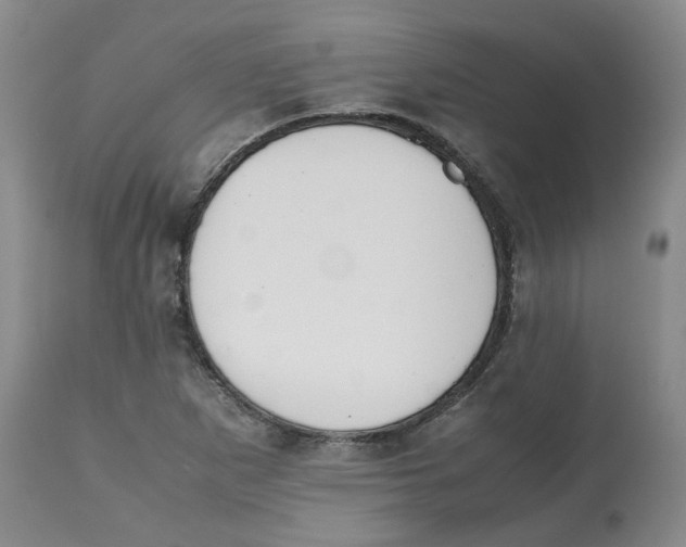 X0000112531265200909141238