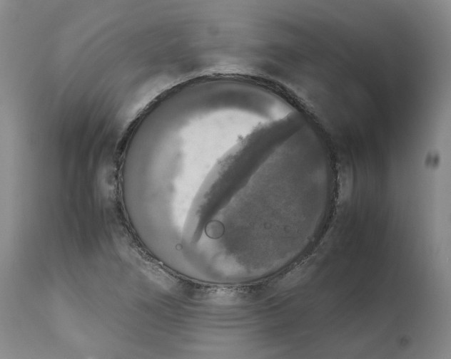 X0000112531266200909141238