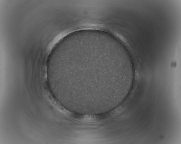 X0000112531267200909141238