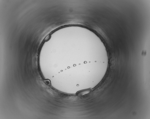 X0000112531268200909141238