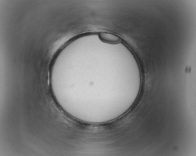 X0000112531269200909141238