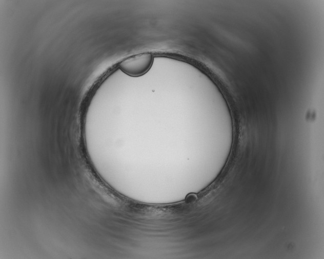 X0000112531270200909141238