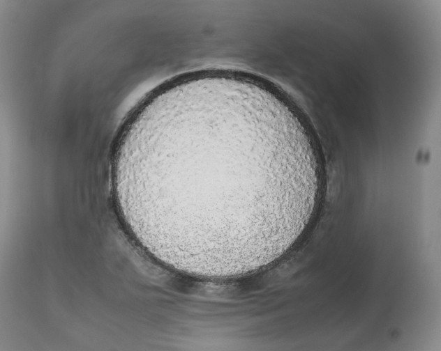 X0000112531271200909141238