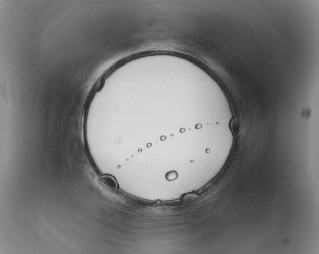 X0000112531272200909141238