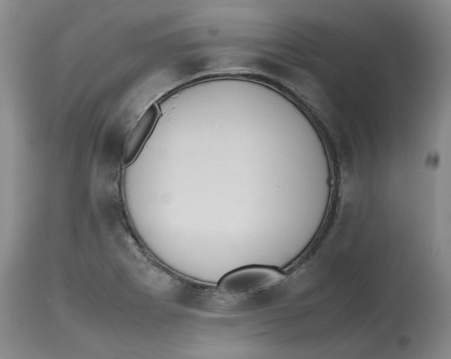 X0000112531273200909141238