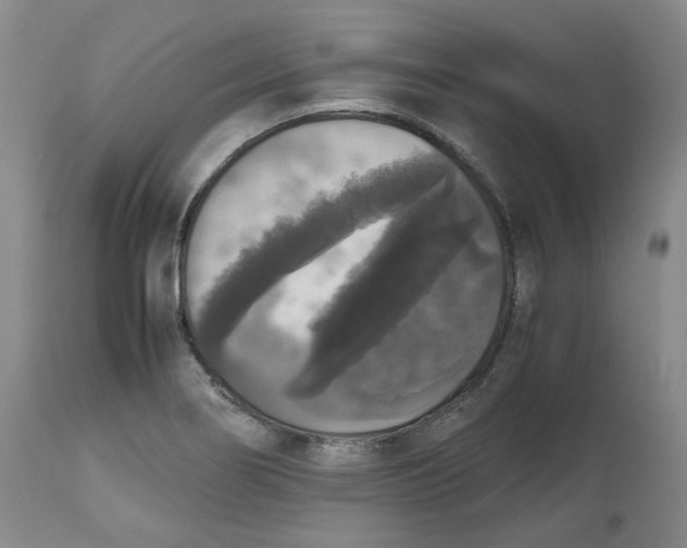 X0000112531274200909141238