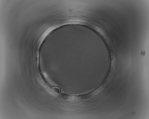 X0000112531275200909141238