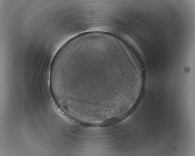 X0000112531276200909141238