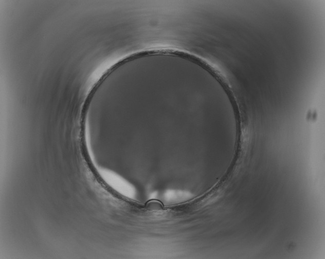 X0000112531279200909141238