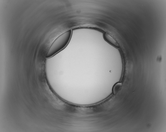 X0000112531281200909141238