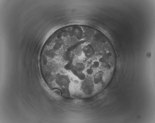 X0000112531283200909141238