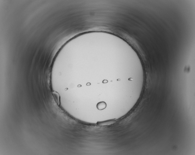 X0000112531284200909141238