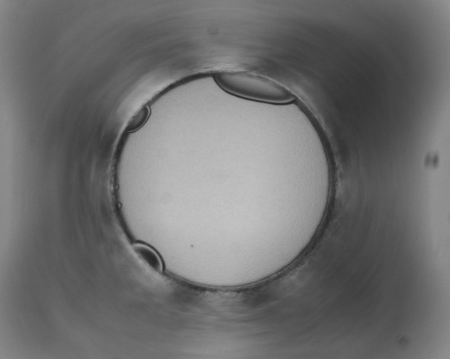 X0000112531285200909141238