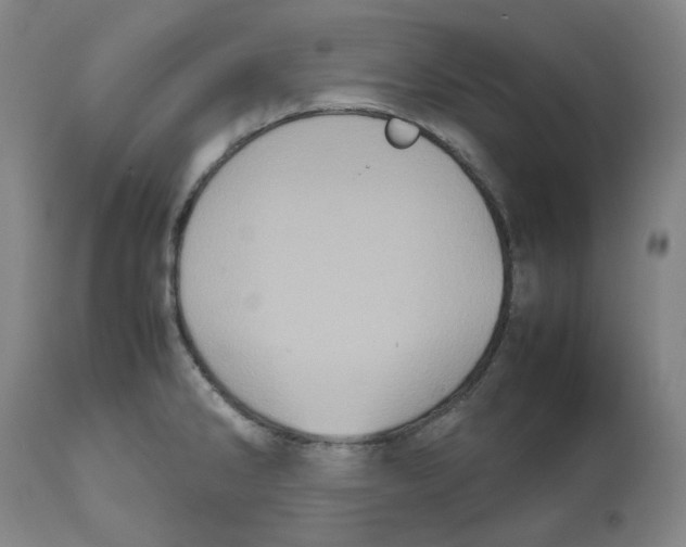 X0000112531286200909141238