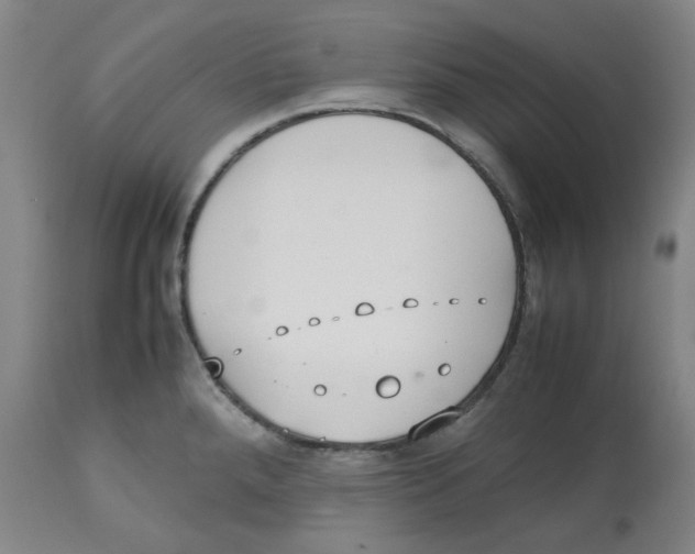 X0000112531288200909141238