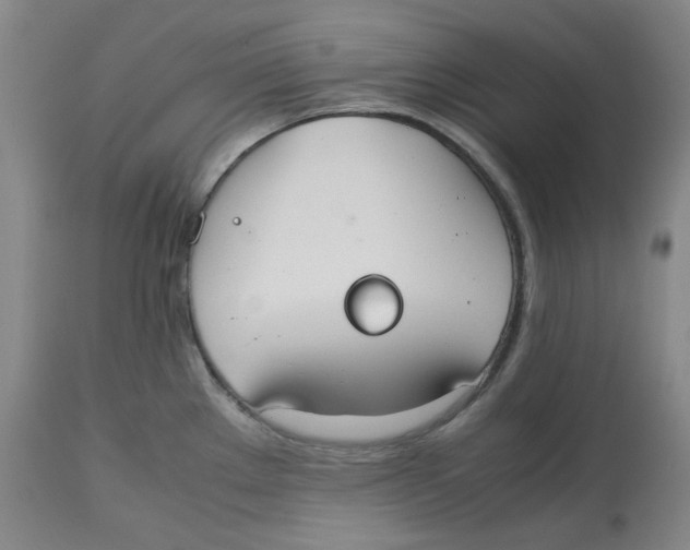 X0000112531289200909141238