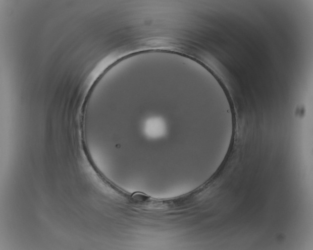 X0000112531291200909141238