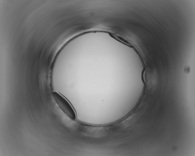 X0000112531292200909141238