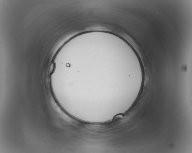 X0000112531293200909141238