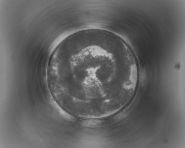 X0000112531294200909141238