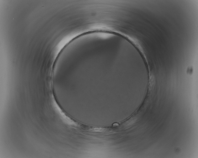 X0000112531295200909141238