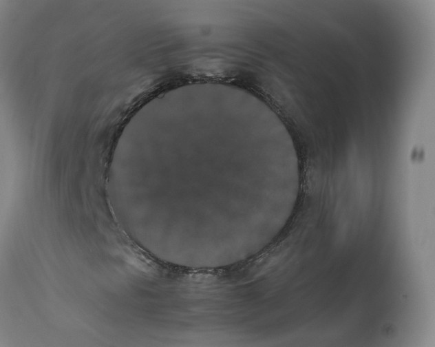 X0000112531297200909141237