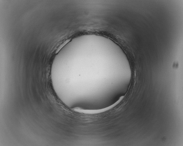 X0000112531300200909141237