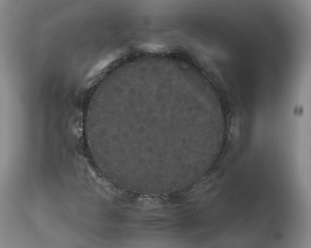 X0000112531301200909141237