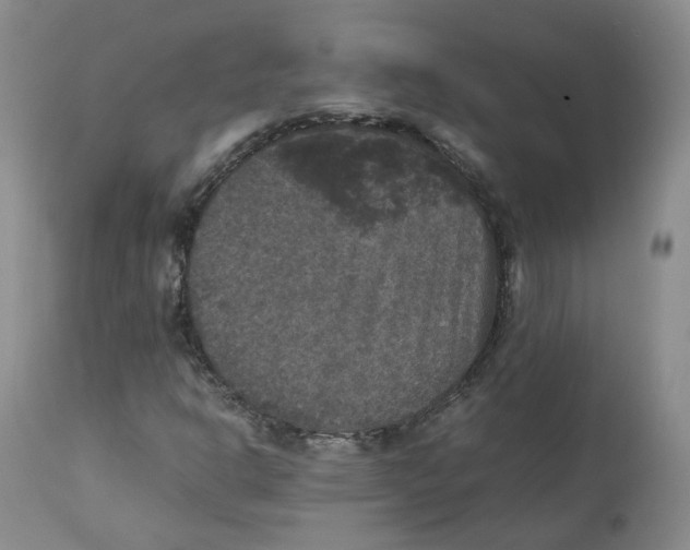 X0000112531302200909141237