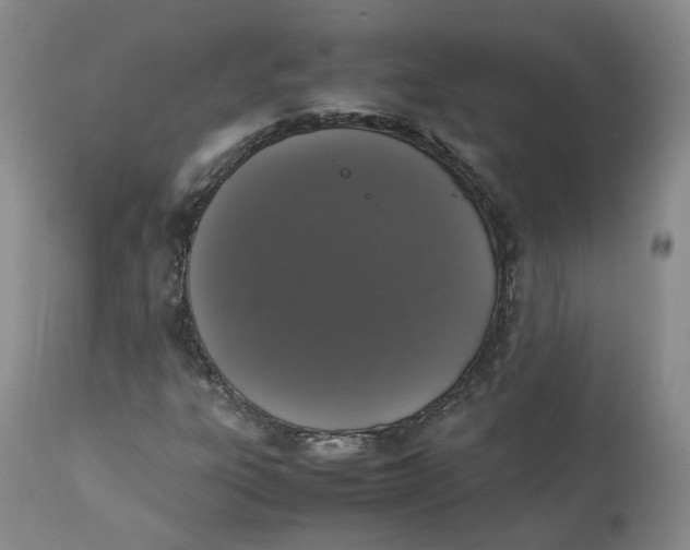 X0000112531303200909141237