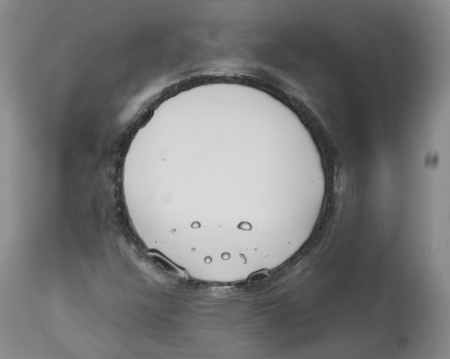 X0000112531304200909141237