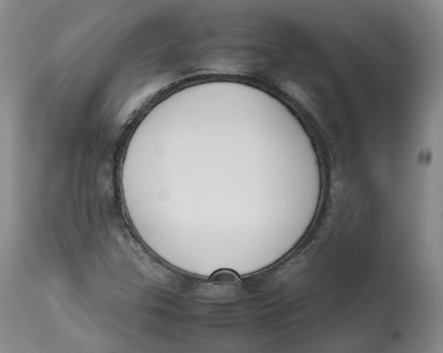 X0000112531307200909141237