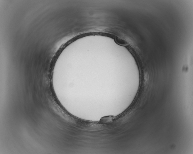 X0000112531308200909141237