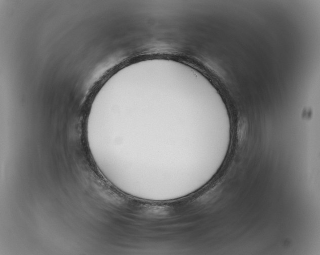 X0000112531309200909141237