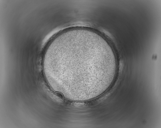 X0000112531310200909141237