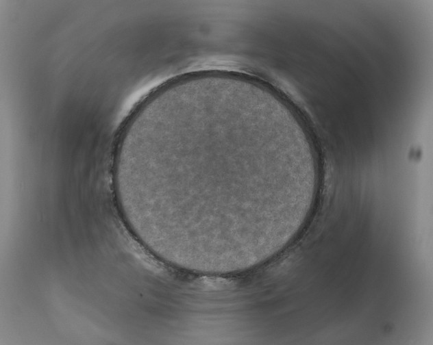 X0000112531312200909141237