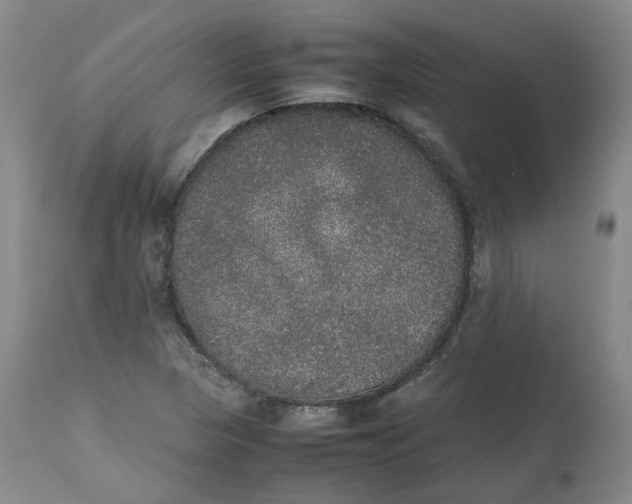 X0000112531313200909141237