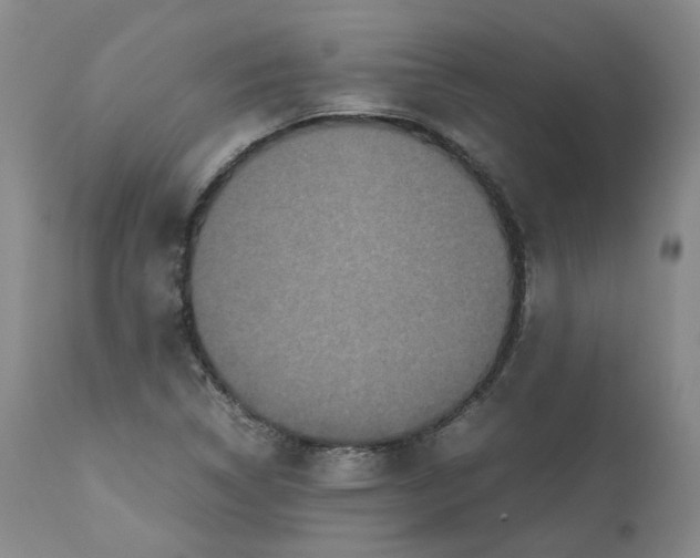 X0000112531314200909141237