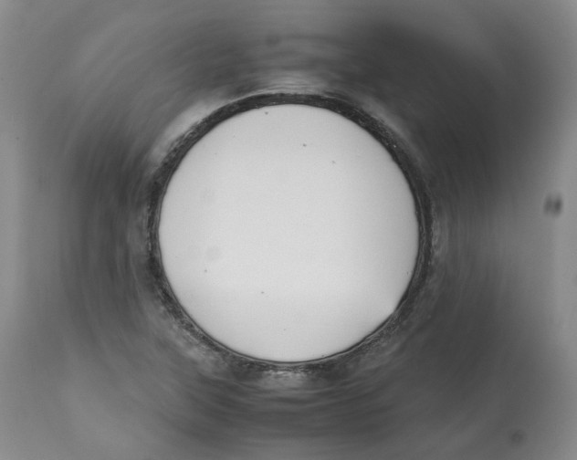 X0000112531315200909141237