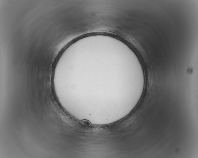 X0000112531316200909141237