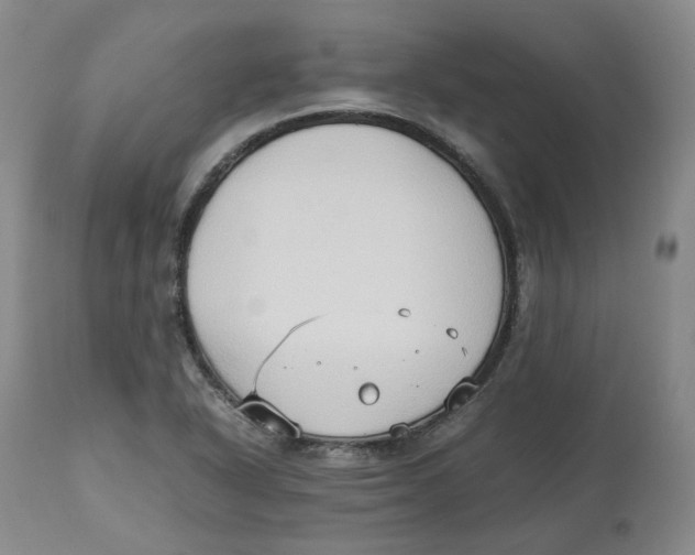 X0000112531318200909141237