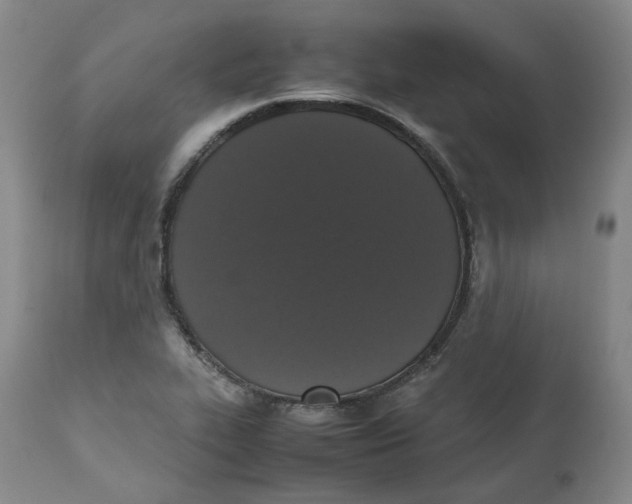 X0000112531319200909141237