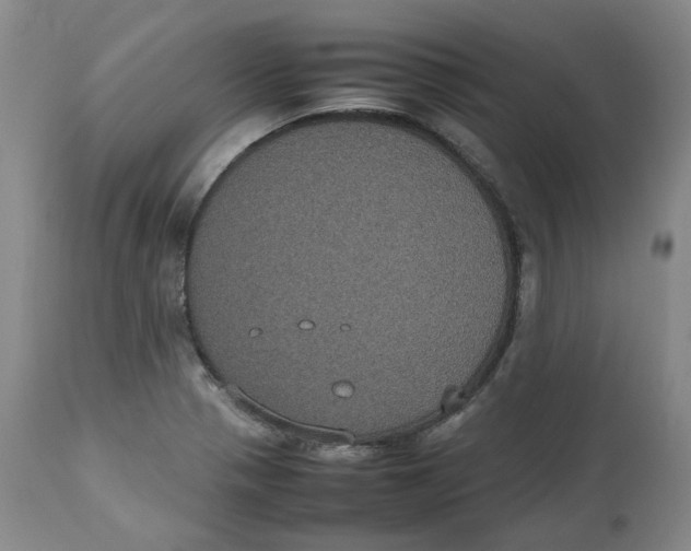 X0000112531321200909141237